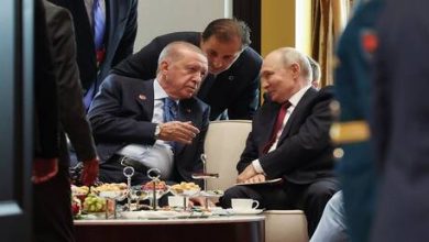 d8b9d986d988d8a7d986 d8a3d8b1d8afd988d8bad8a7d986 d98ad8afd8b9d988 d984d8aad987d8afd8a6d8a9 d8a7d984d8aad988d8aad8b1 d981d98a d8a7d984