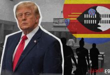 d985d987d8a7d8acd8b1d988d986 d985d98fd8afd8a7d986d988d986 d98ad98fd8add8aad8acd8b2d988d986 d981d98a d985d985d984d983d8a9 d8a5d981d8b1